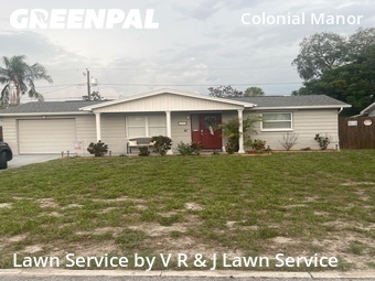 Yard Cutting nearby New Port Richey, FL, 