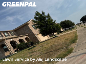 Lawn Cut nearby Ft Worth, TX, 