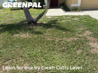 Grass Cutting nearby Riverview, FL, 
