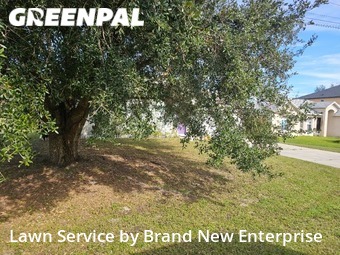 Lawn Service nearby Kissimmee, FL, 