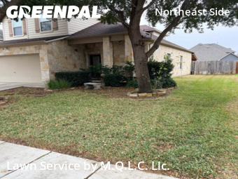 Lawn Mowingin Schertz,78154,Yard Cutting by M.Q.L.C. Llc., work completed in Feb , 2026