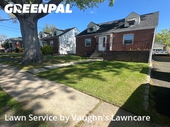 Grass Cut nearby Hillside, NJ, 
