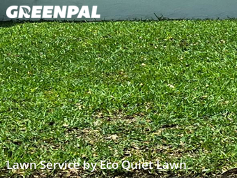 Lawn Mowing Service nearby Fort Lauderdale, FL, 