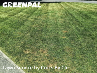 Grass Cut nearby Toledo, OH, 