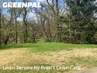 Yard Cutting nearby Pittsburgh, PA, 