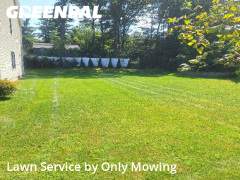 Lawn Maintenance nearby Niskayuna, NY, 
