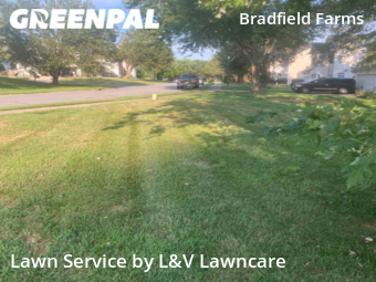 Lawn Care Service nearby Charlotte, NC, 