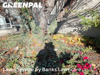 Lawn Mowing nearby Meridian, ID, 