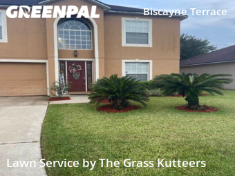 Lawn Cut nearby Jacksonville, FL, 