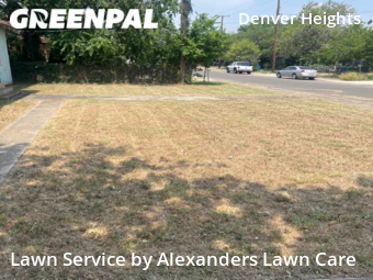 Grass Cut nearby San Antonio, TX, 