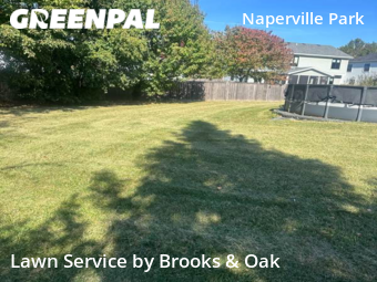 Lawn Mowing nearby Naperville, IL, 