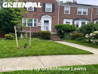 Lawn Cut nearby Baltimore, MD, 
