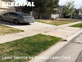 Lawn Mowin Arvada,80003,Lawn Service by A Lotus Lawn Care, work completed in Jun , 2026