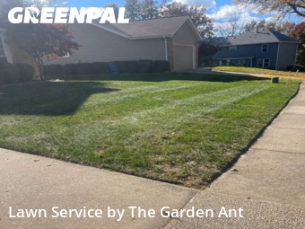 Lawn Cutting nearby Ballwin, MO, 