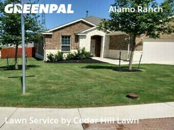 Grass Cut nearby San Antonio, TX, 
