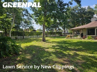 Yard Cutting nearby Safety Harbor, FL, 