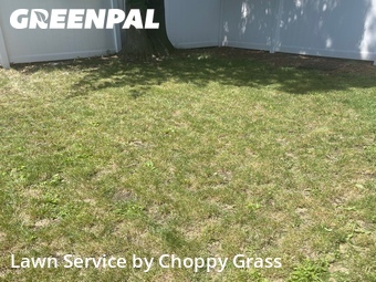 Lawn Cutting nearby North Bergen, NJ, 