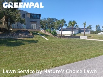 Grass Cutting nearby Ocala, FL, 