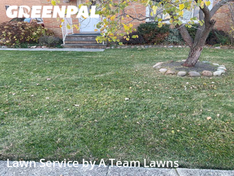 Yard Cutting nearby Euclid, OH, 