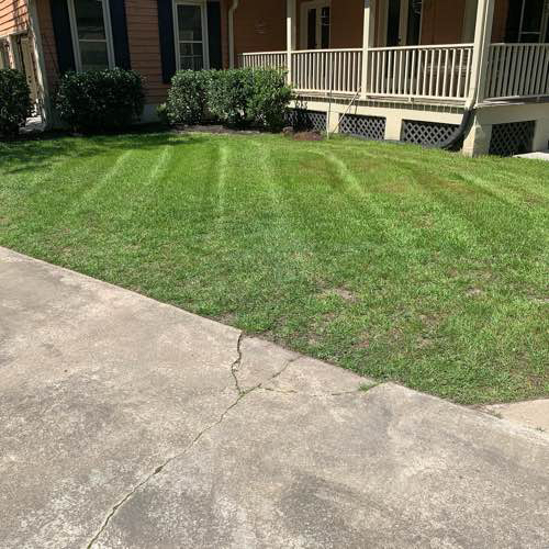 Greenecoast Lawn Lawn Care Services in Summerville, SC