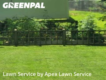 Grass Cutting nearby Johnson City, TN, 