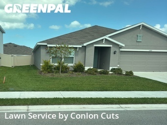 Grass Cutting nearby Palmetto, FL, 
