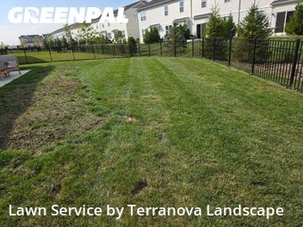 Grass Services in South Elgin, 60177, Grass Cutting by Terranova Landscape, work completed in Nov , 2025