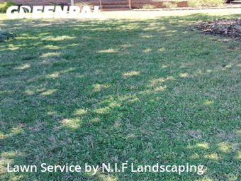 Lawn Mow nearby Rock Hill, NC, 
