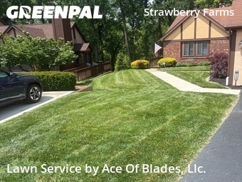 Lawn Service nearby Columbus, OH, 