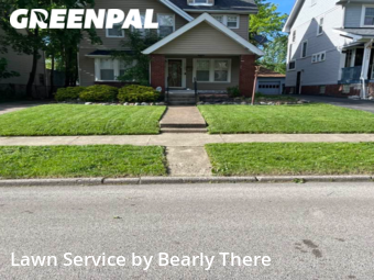 Grass Cutting nearby Cleveland Heights, OH, 