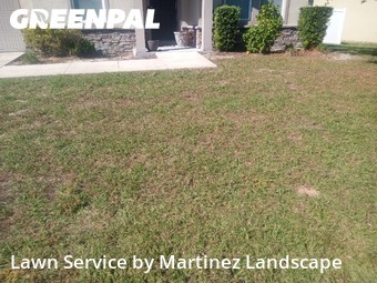 Yard Mowing nearby Mascotte, FL, 