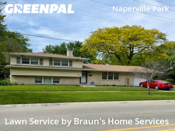 Grass Cut nearby Naperville, IL, 