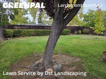 professional-lawn-care-service-in-Yuba City-CA