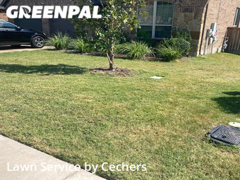 Yard Mowing nearby Round Rock, TX, 