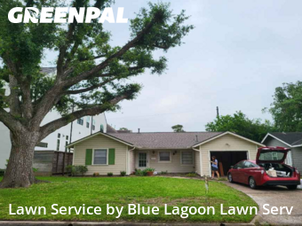 Lawn Cuttingin Bellaire,77401,Lawn Mowing by Blue Lagoon Lawn Serv, work completed in Jan , 2026