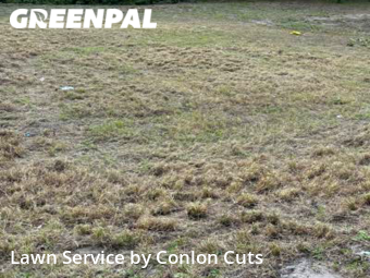 Lawn Mow nearby Bradenton, FL, 