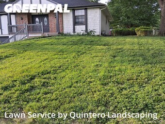 Grass Cut nearby Blue Springs, MO, 