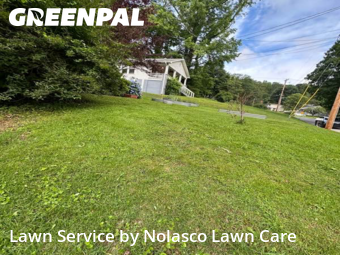 Grass Cut nearby Chattanooga, TN, 