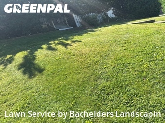 Lawn Care Service nearby Mansfield, OH, 