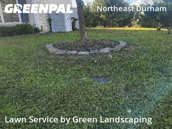 Lawn Maintenance nearby Durham, NC, 