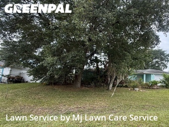 Grass Cut nearby Palm Bay, FL, 