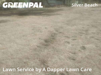 Yard Maintenance in Bellingham, 98229, Lawn Mowing by A Dapper Lawn Care, work completed in Nov , 2025
