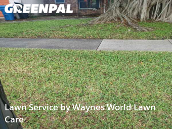 Grass Cut nearby Seminole, FL, 