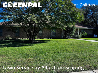 Backyard Landscaping In Irving,75038,Landscaping by Alfas Landscaping, work completed in Nov , 2025