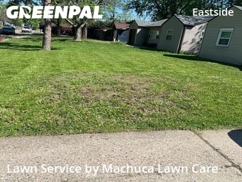 Yard Mowing nearby Indianapolis, IN, 