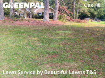 Lawn Mow nearby Covington, GA, 