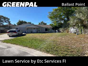 Lawn Mowing Servicein Tampa,33611,Lawn Mow by Etc Services Fl, work completed in Nov , 2025