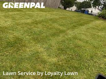 Grass Cutting nearby Lexington, KY, 