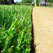 local-lawn-care-services-in-Knoxville-TN