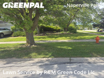Grass Cut nearby Naperville, IL, 